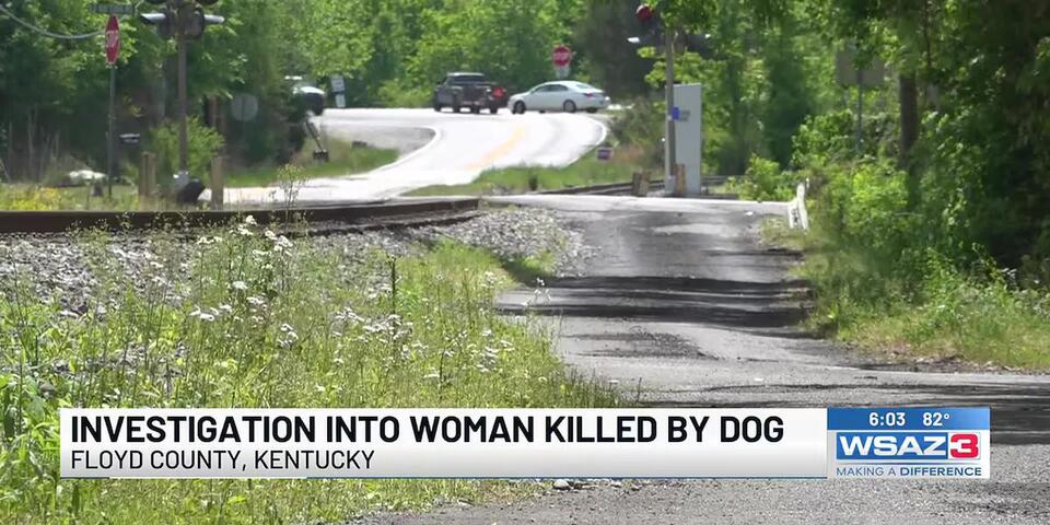 Deputies: Woman dies after dog attack - NewsBreak