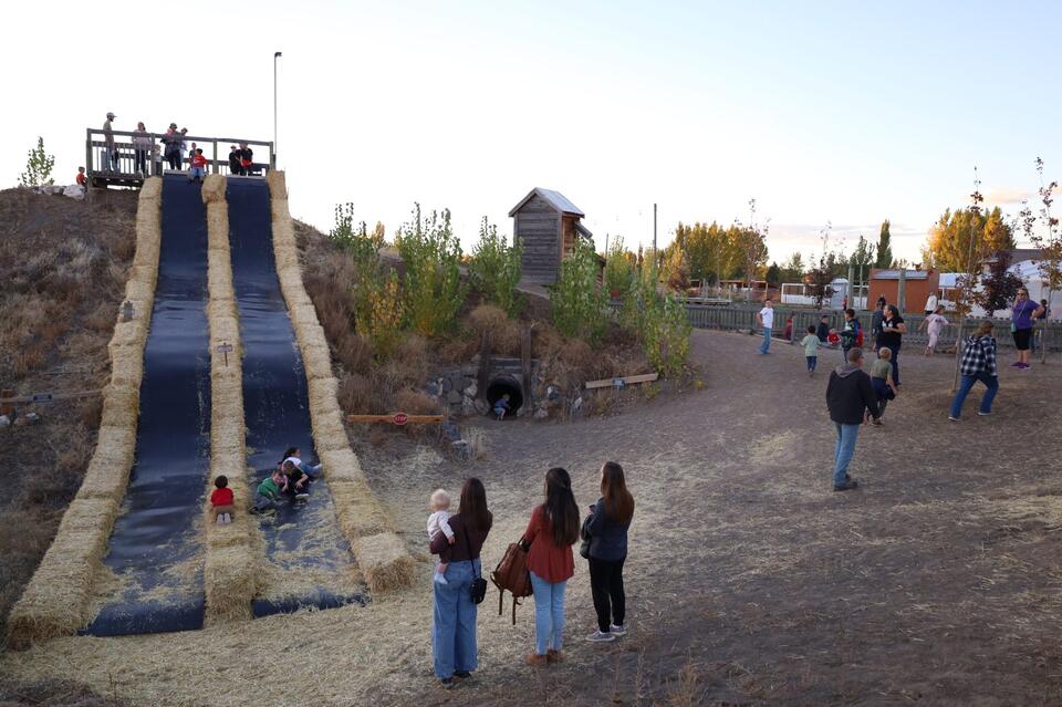 Treehouse Nursery Fall Fest reopens for October - NewsBreak