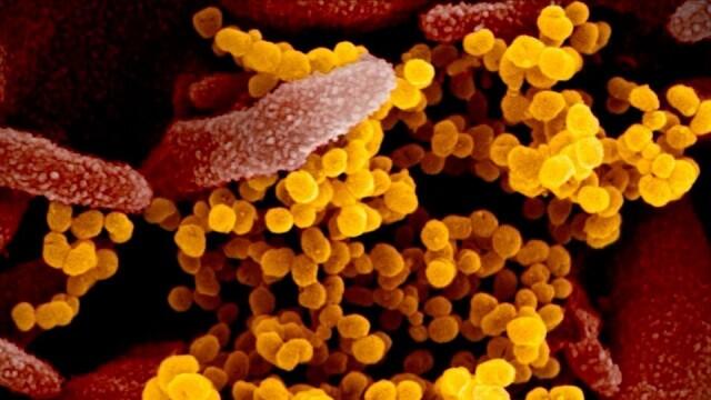 Indian Rocks Beach Coronavirus Newsbreak Indian Rocks Beach Fl