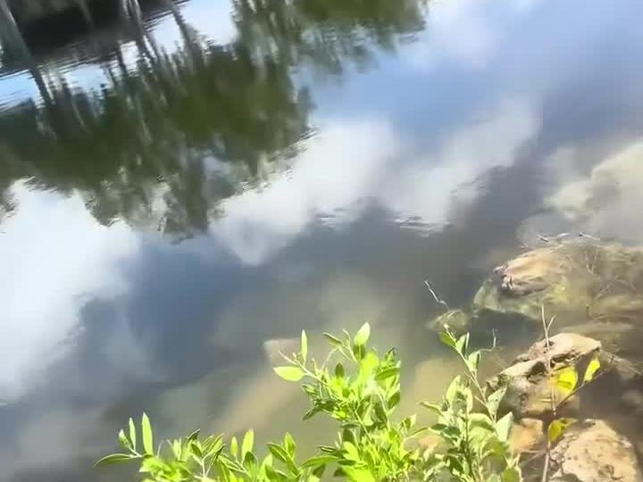 For all the people out there that know about the infamous Lakes Park, Check out this 7/8 foot