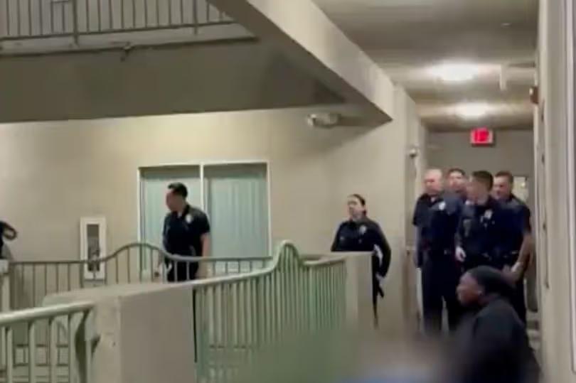Dog in Knicks jersey shot and killed by LAPD raises staggering $160,000 ...