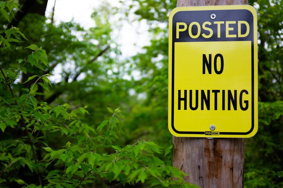 Active Hunting Season In Massachusetts Comes With Strict Eastern Limits ...