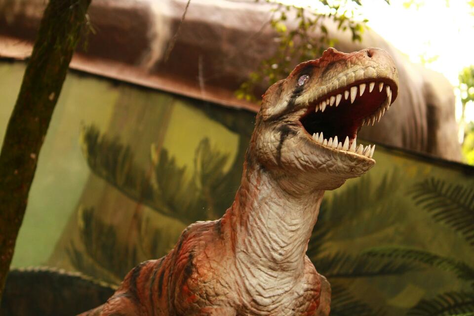 What’s a Gastrolith? The Stomach Stones Dinosaurs Swallowed - NewsBreak