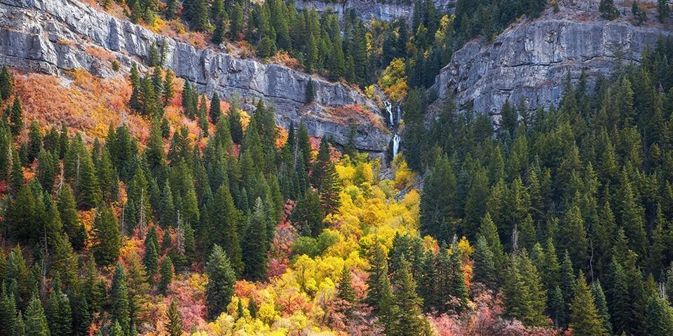 📅 No school Oct 21–26 for Provo fall break - NewsBreak