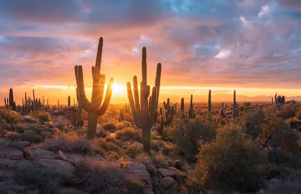 Arizona's Tohono O'odham march as border wall crews prepare to remove ...