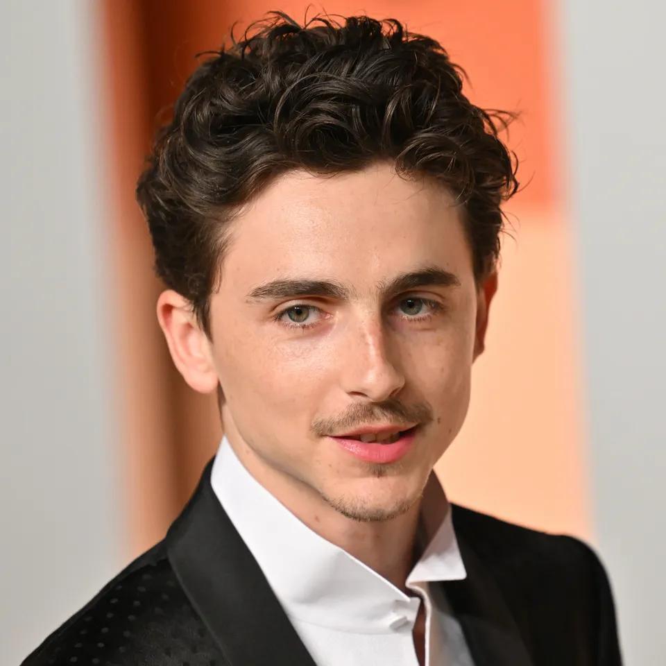 Timothée Chalamet's Buzz Cut Reveal Is the Most Confusing Thing I've