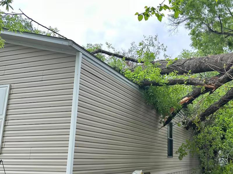 2 people pulled to safety after tree falls on mobile home