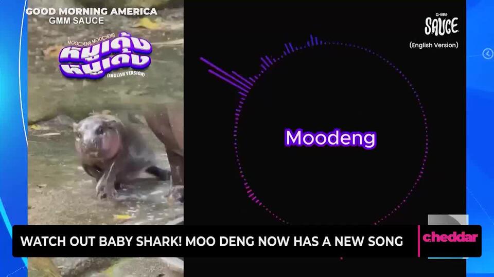 Watch Out Baby Shark! Moo Deng Now Has a New Song - NewsBreak