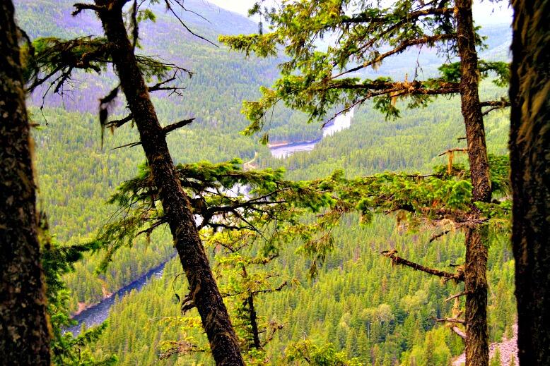 The Road to Better Days: How RV Life Elevates Your Mood, Health, and Happiness