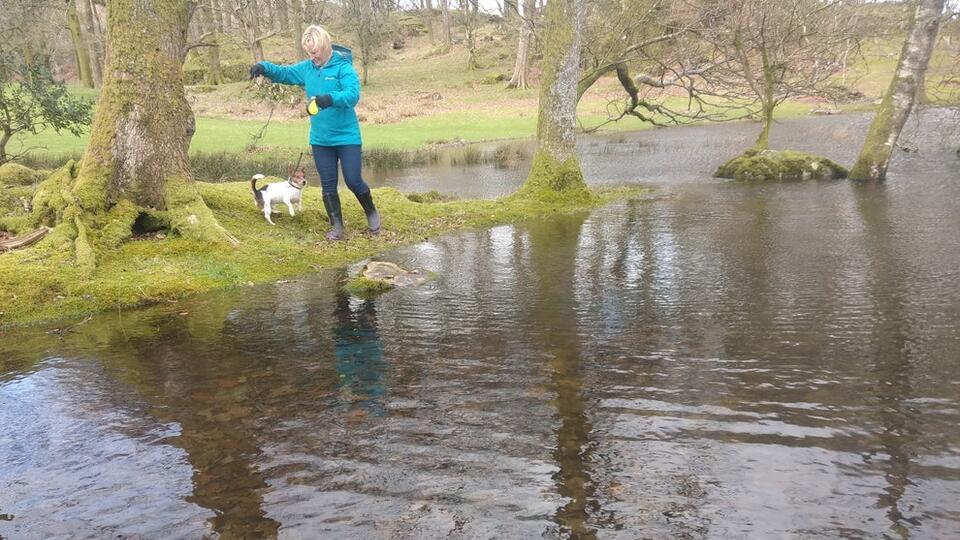 St Paul Police Arrest Nick Firkus In Connection To 10 Fatal Shooting Of His Wife In Their Home News Break