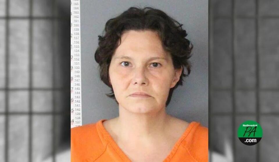 Woman sentenced for attempt to steal $10,000 from her mother - NewsBreak