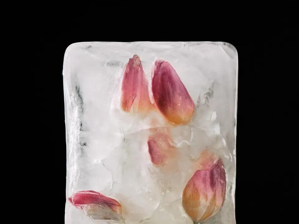 5 Tips For Making Your Fragrance Last Longer