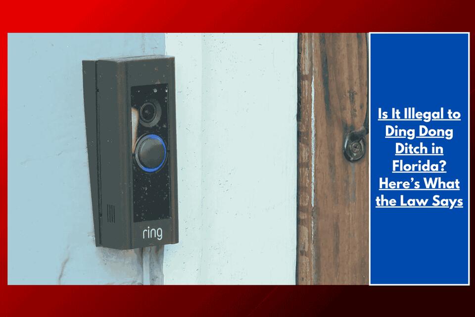 Is It Illegal to Ding Dong Ditch in Florida? Here’s What the Law Says ...