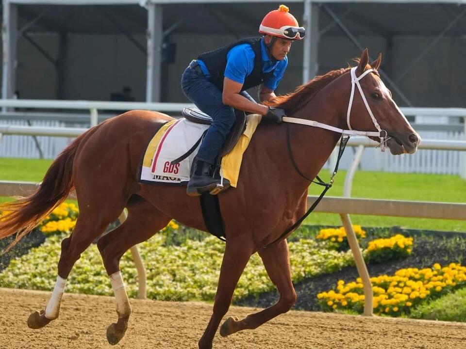 Belmont Stakes 2024 Cheat Sheet for racing form, past performances