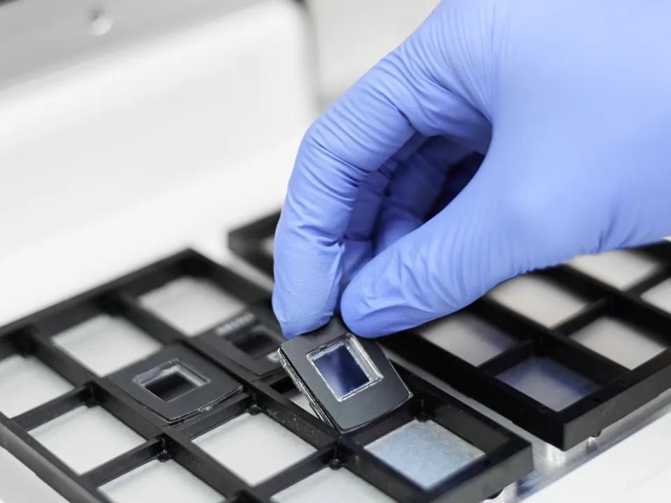 Digital PCR Explained Precision, Sensitivity and RealWorld Applications