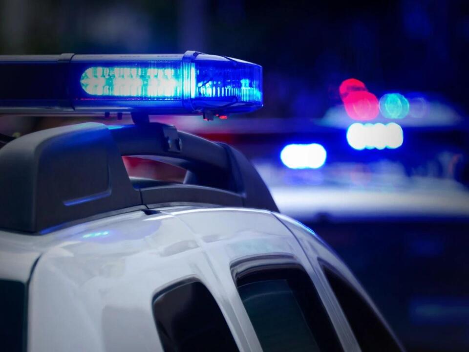 Wilmington man arrested in Boiling Spring Lakes after fleeing police ...