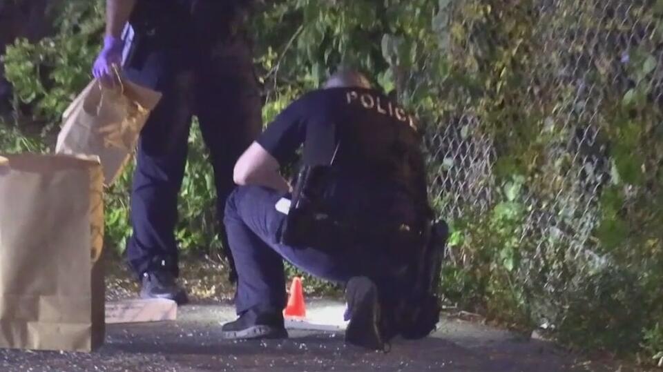 Off-duty suburban Chicago police officer shoots armed robbery suspect ...