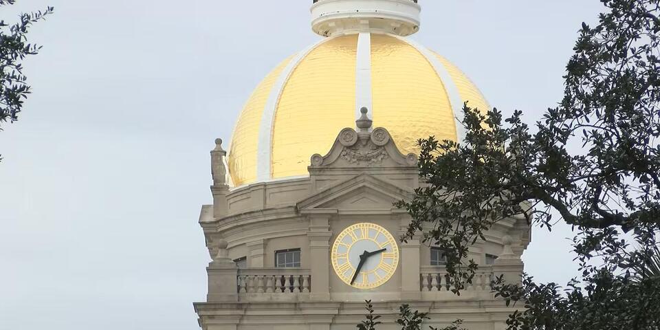 Savannah City Hall going pink for four nights this October - NewsBreak