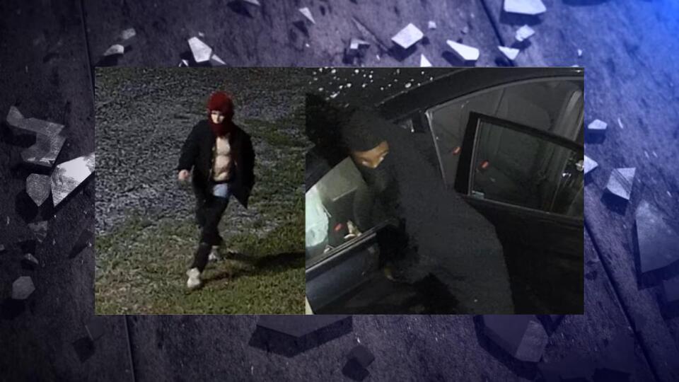 Federal agents, police searching for gun store burglary suspects ...