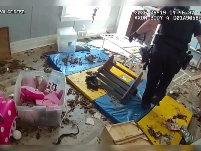 Woman facing animal cruelty charges after 4 dogs, 18 cats were removed from home