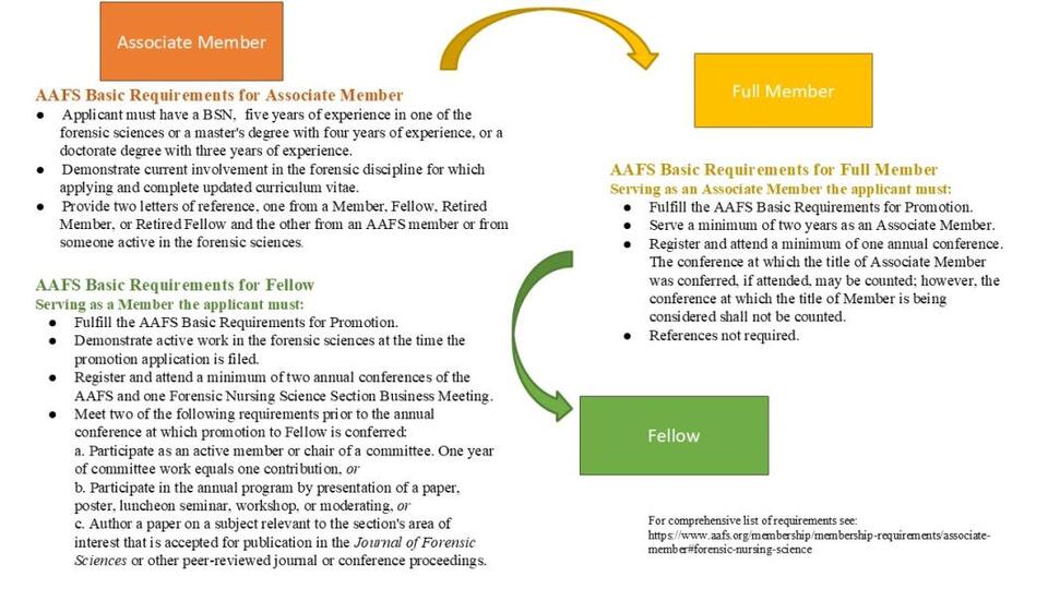 AAFS Advancement Steps - NewsBreak