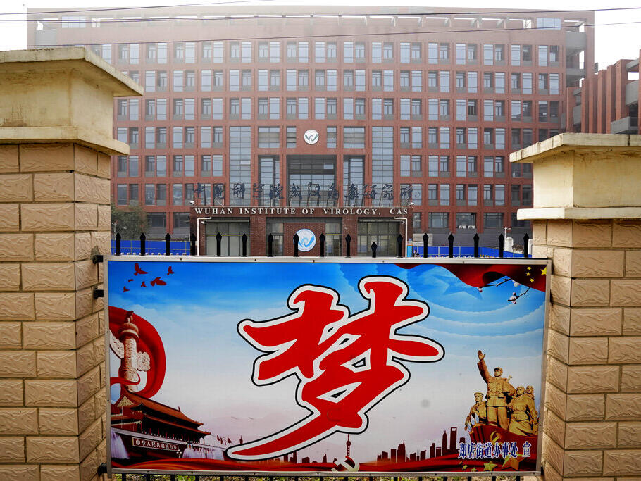 Report: Wuhan lab workers were sick with flu-like symptoms ...