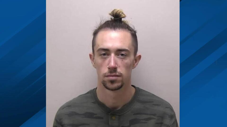 Man sentenced for assaulting pregnant woman, punching police officer ...