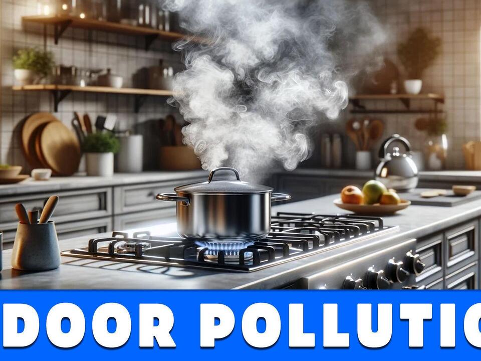 Dougherty County Health Alert Gas Stoves Linked to Asthma in Children