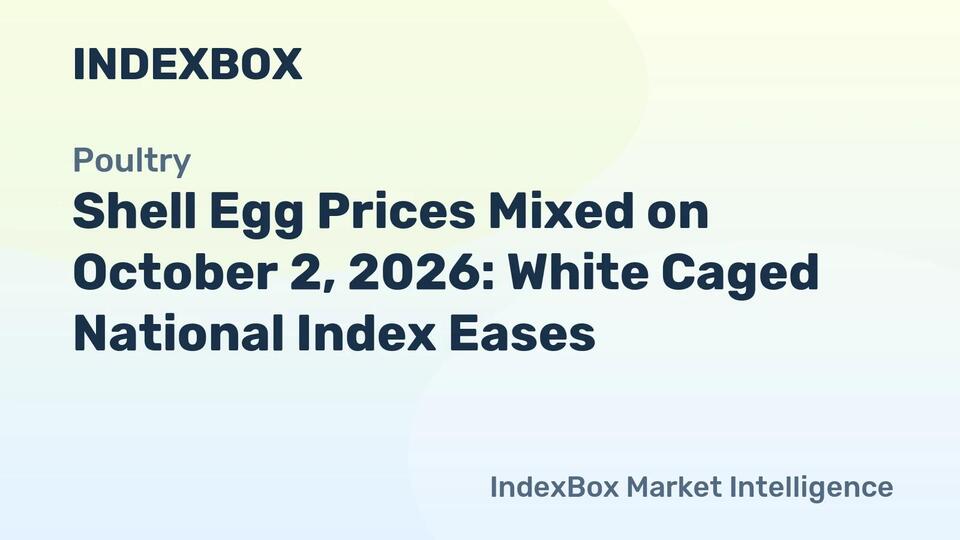 Shell Egg Prices Mixed on October 2, 2026: White Caged National Index ...