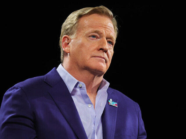 Roger Goodell Says He ‘Welcomes’ Investigation into How Eagles Handled ...