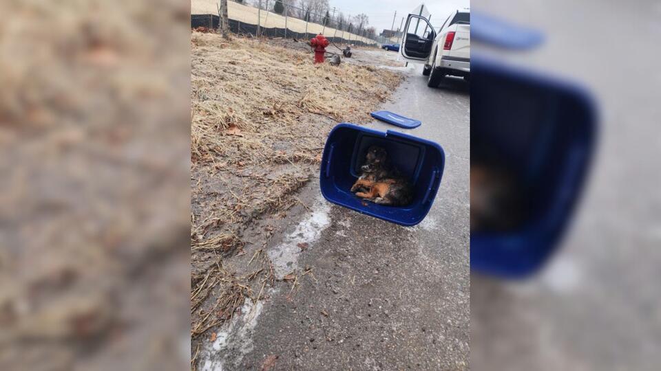 Michigan Woman Spots A Taped Container Outside And Realizes Someone Is ...
