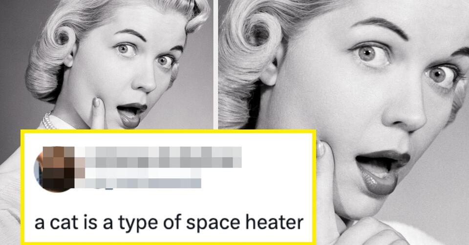 I Nearly Cracked A Rib Laughing At These 36 Hilarious Tweets By Women ...