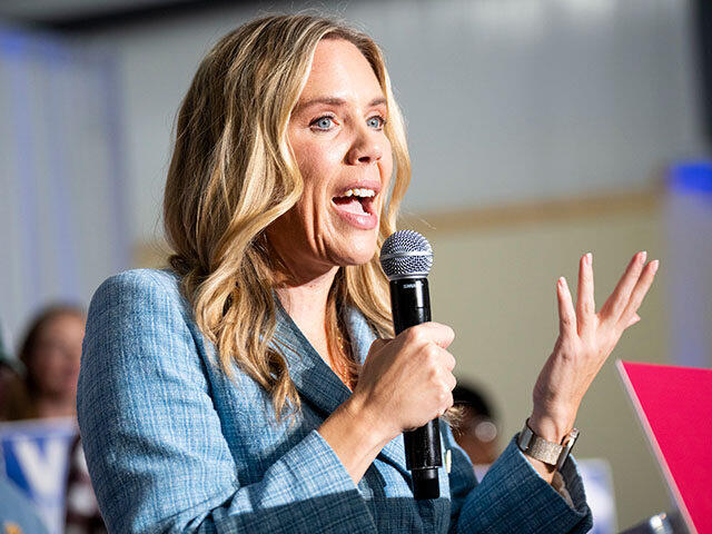 South Carolina Democrat Annie Andrews’ Primary Income Came from Anti ...