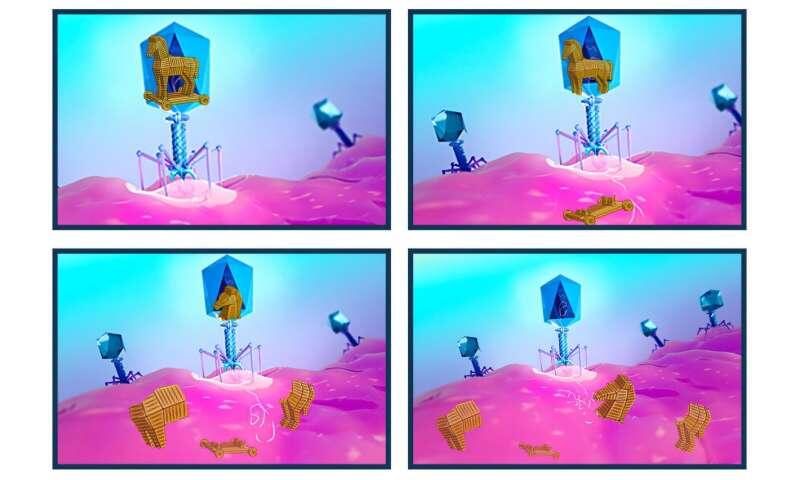 SNIPE bacterial defense system shreds phage DNA before infection can begin
