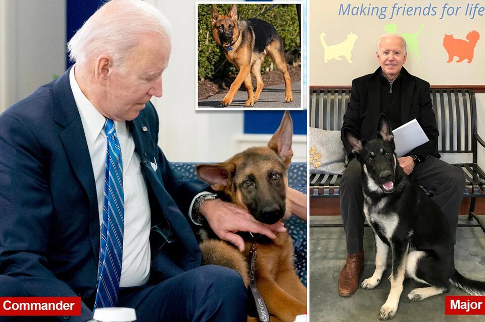 Biden’s dog Commander sent Secret Service officer to hospital, bit 6 ...