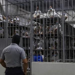 Report Exposes Torture Endured by Migrants Trump Sent to El Salvador