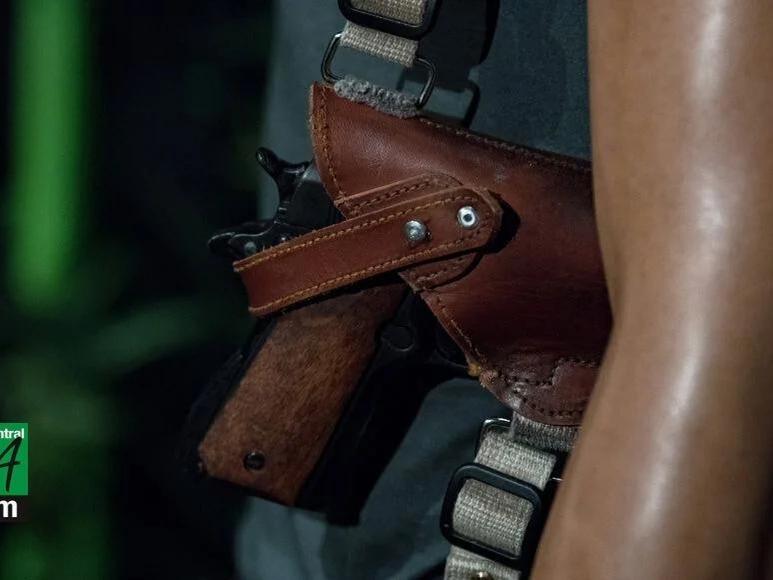Federal appeals court rules young adults in Pa. can openly carry guns ...