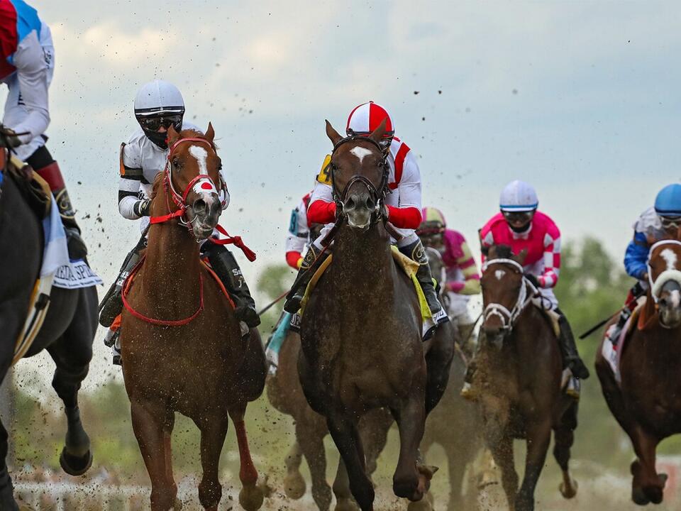 Previewing the 149th Preakness Stakes Updated odds and video analysis