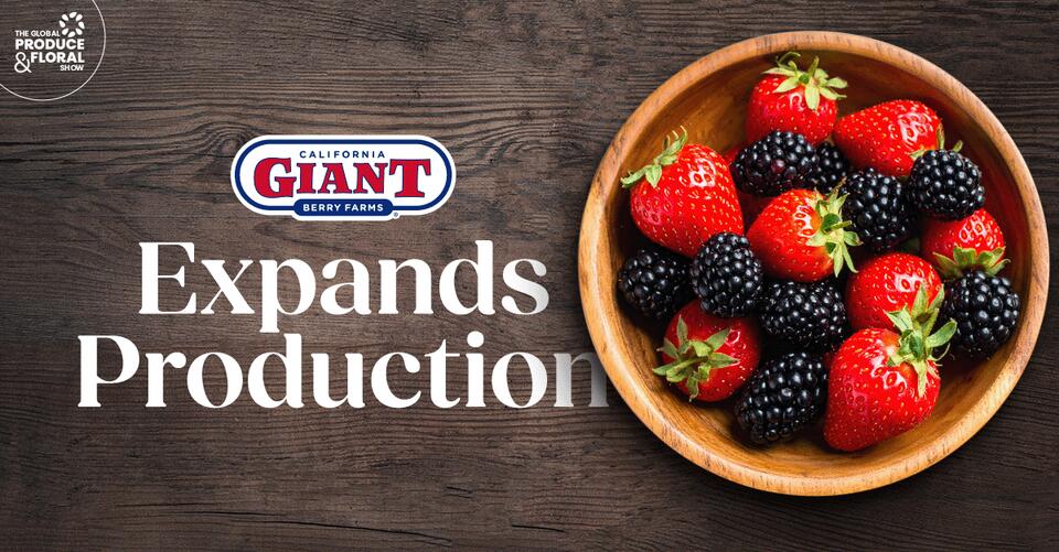 California Giant Berry Farms Expands Strawberry and Blackberry ...