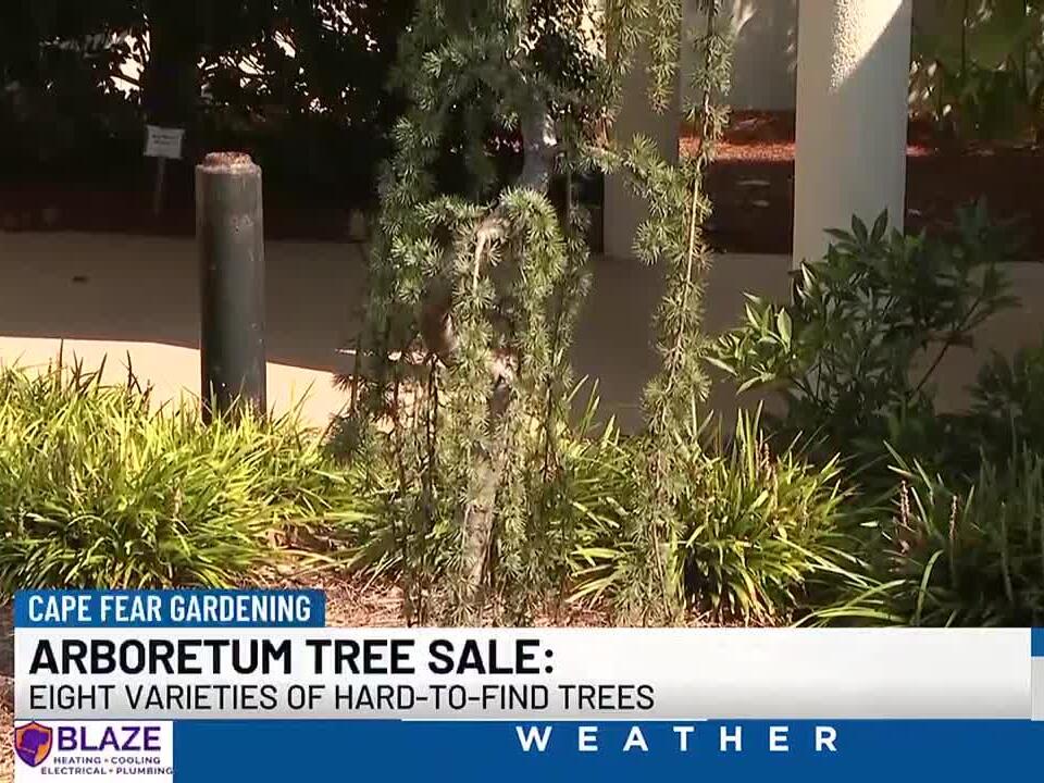Cape Fear Gardening Arboretum tree sale eight varieties of hardto