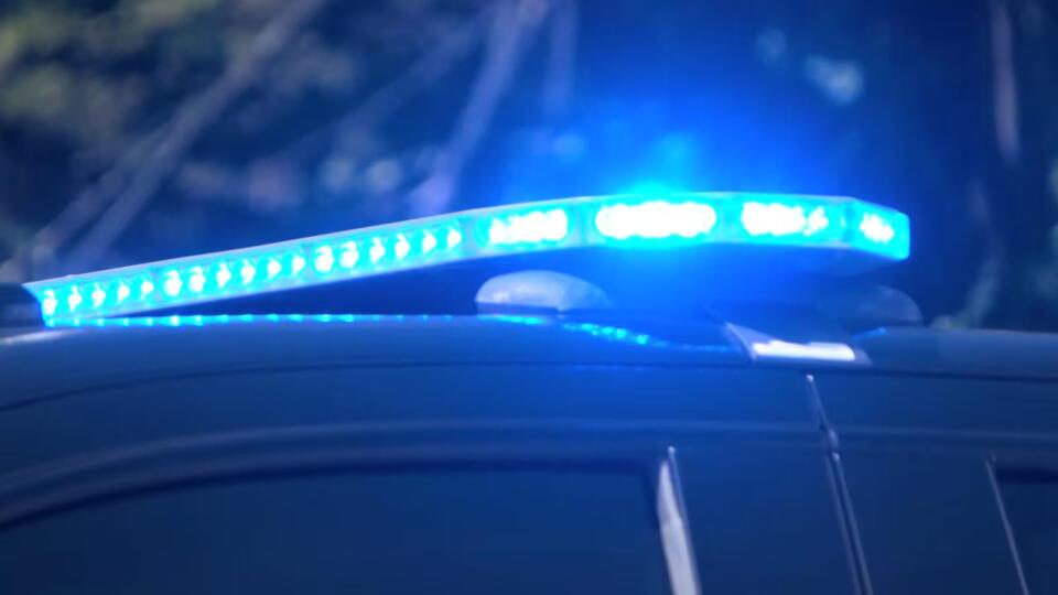 Skeletal remains found in Bridge City are human, officials confirm ...