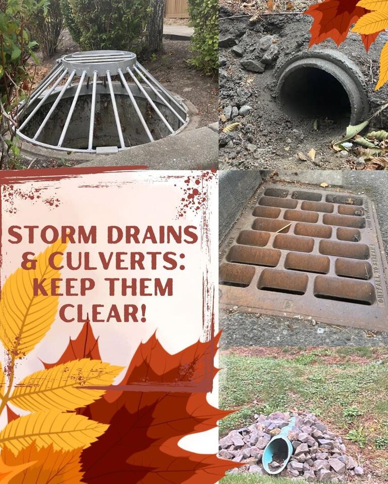⚠️ Help clear storm drains to prevent local flooding - NewsBreak