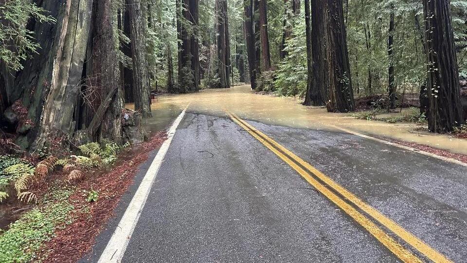 Avenue of the Giants closed in Humboldt County due to flooding - NewsBreak