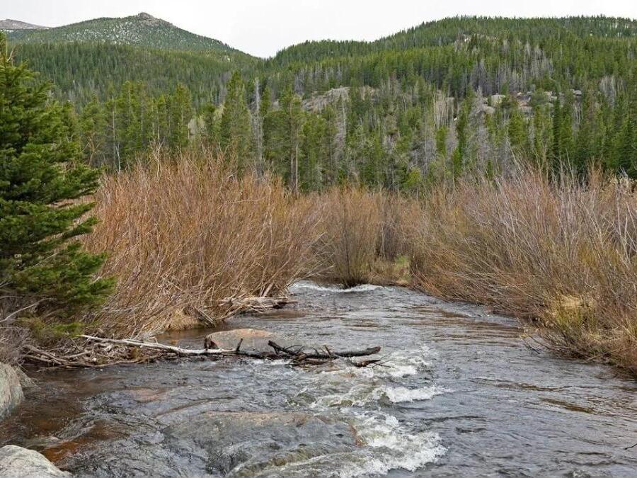 Man dies in Rocky Mountain National Park after falling from waterfall