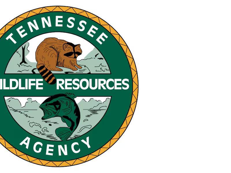 Roane County man’s body found at Watts Bar Reservoir, TWRA says