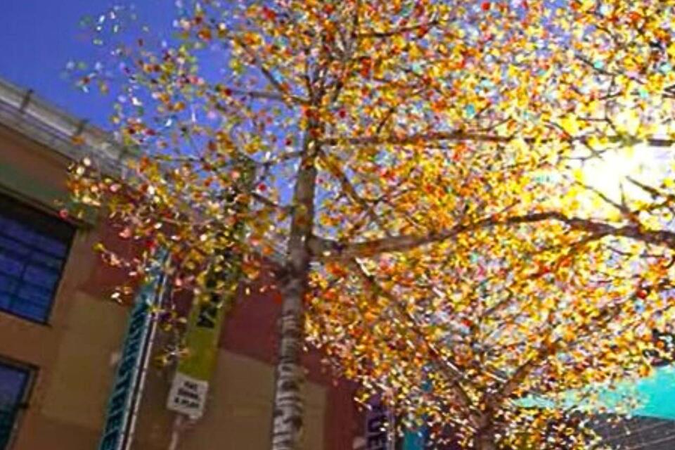 16th Street in Denver Includes Aspen Trees That Are Unique Art - NewsBreak