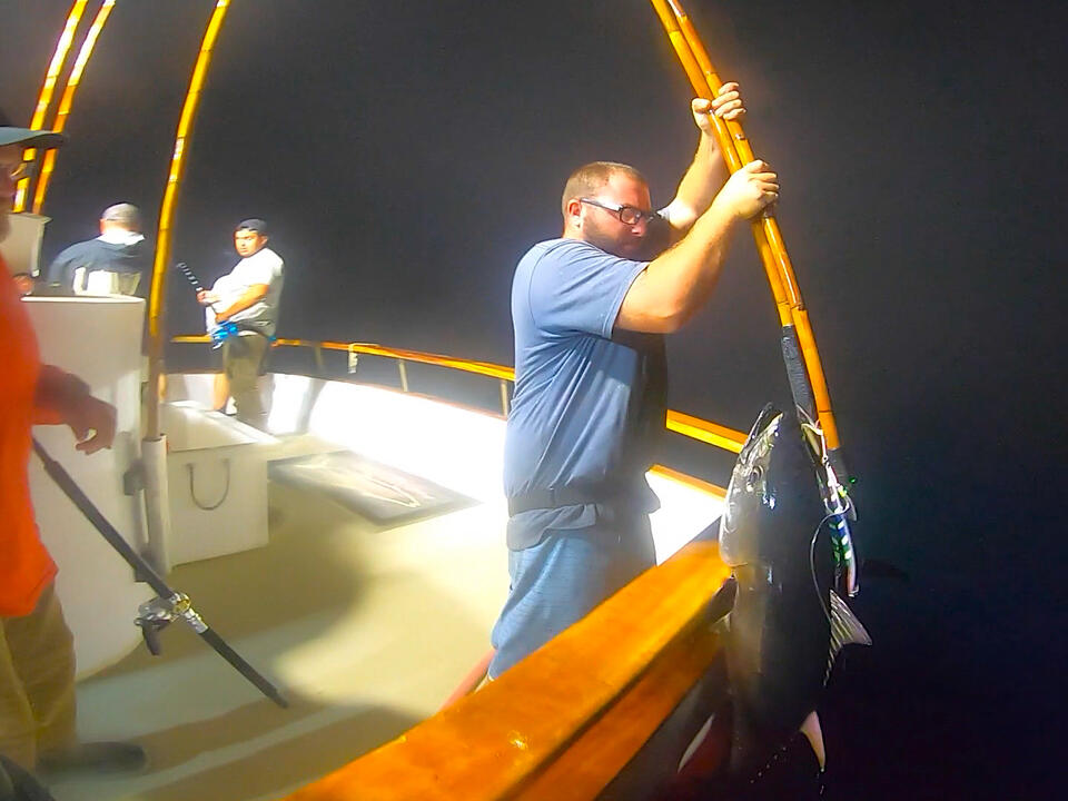 Bluefin Tuna Fishing With Mustad Rip Roller Knife Jigs at Night on a