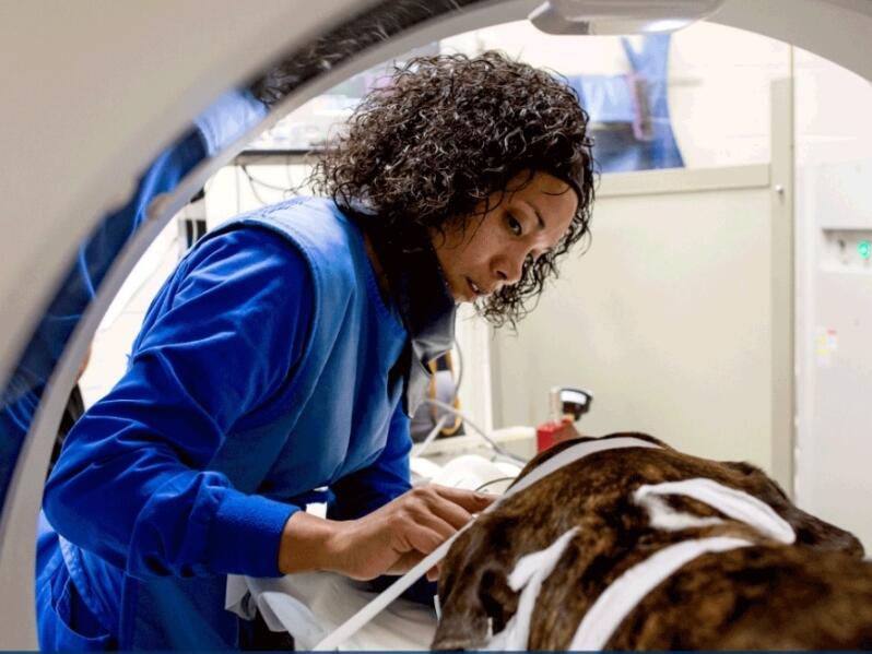 Pflugerville Animal Hospital moving to new location