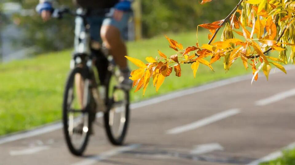 Naperville City Council approves updated bicycle and pedestrian plan