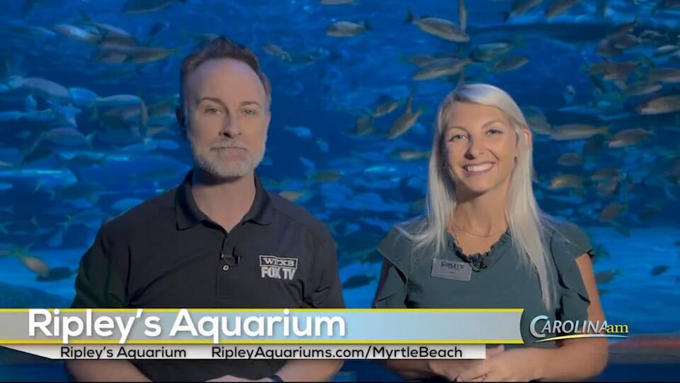 How to Get a Unique Look at Ripley’s Marine Science Research Center ...